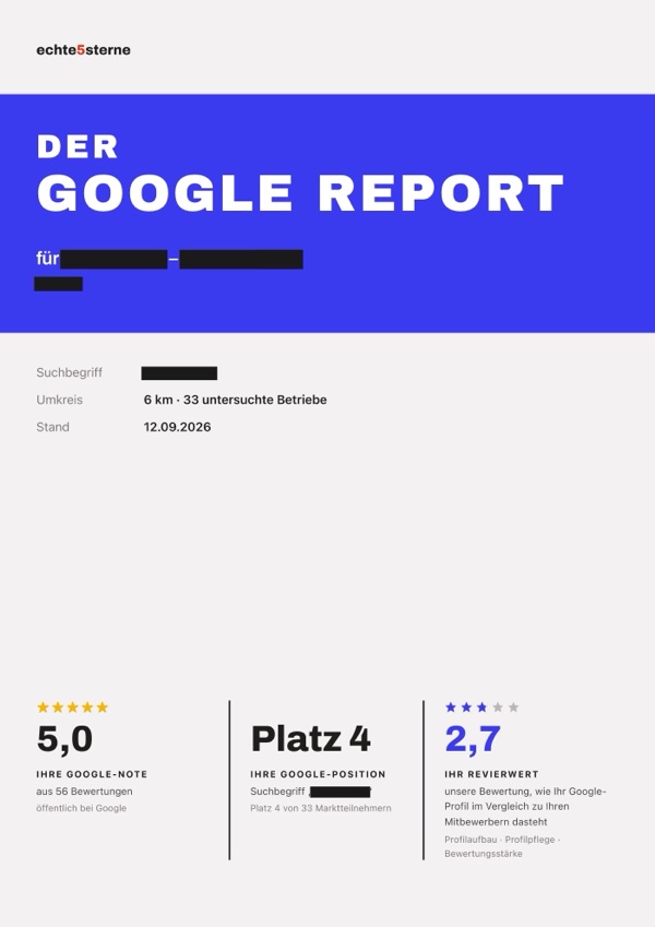 Seite aus einem echten Google Report: Kopfnoten. Name, Ort und Mitbewerber geschwärzt.
