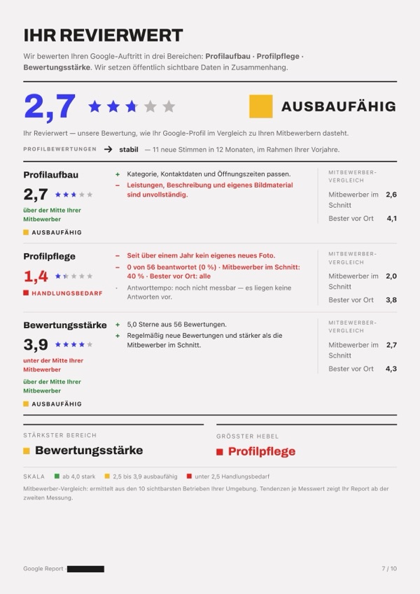 Seite aus einem echten Google Report: Revierwert. Name, Ort und Mitbewerber geschwärzt.